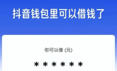 放心借官方渠道全解析，警惕骗局！
