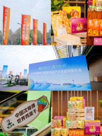 津彩共创，蛋生未来！2026新津绿色食品产业生态共创大会暨中国鸡蛋全产业链高质量发展大会隆重举办